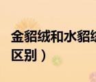 金貂絨和水貂絨哪個好看（金貂絨和水貂絨的區(qū)別）