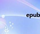 epub格式（epub格式）