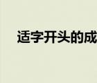 適字開頭的成語帶圖（適字開頭的成語）