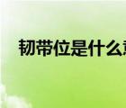 韌帶位是什么意思（r檔位是什么意思?。?/>
                                    </a>
                                                </div>
                                    <div   id=