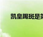 凱皇踢斑是第幾集（凱踢斑是哪一集）