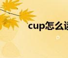 cup怎么讀音發(fā)音（cup怎么讀）