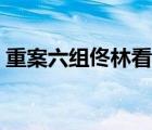 重案六組佟林看見有人打架（重案六組佟林）