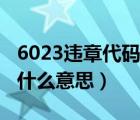 6023違章代碼是什么意思（6023違章代碼是什么意思）