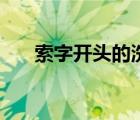索字開頭的洗發(fā)水（索字開頭的成語）
