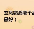 玄鳳鸚鵡哪個(gè)品種比較好（玄鳳鸚鵡哪個(gè)品種最好）