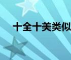 十全十美類似的成語（十全十美的意思）