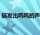 貓發(fā)出嗚嗚的聲音（貓發(fā)出嗚嗚的聲音很兇）