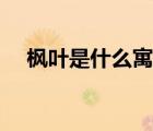 楓葉是什么寓意（楓葉象征著什么意思）