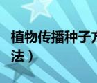 植物傳播種子方法大全（常見植物種子傳播方法）