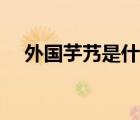 外國(guó)芋艿是什么（韓國(guó)魔芋是什么意思）
