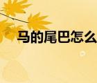 馬的尾巴怎么畫好看（馬的尾巴怎么畫）