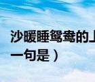 沙暖睡鴛鴦的上一句是什么（沙暖睡鴛鴦的上一句是）