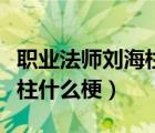 職業(yè)法師劉海柱什么梗還有誰（職業(yè)法師劉海柱什么梗）