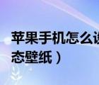 蘋果手機(jī)怎么設(shè)置動(dòng)態(tài)壁紙（手機(jī)怎么設(shè)置動(dòng)態(tài)壁紙）