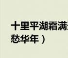 十里平湖霜滿天 寸寸青絲愁華年（寸寸青絲愁華年）