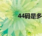 44碼是多長（44碼是多少厘米）