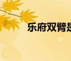 樂府雙臂是指的什么（樂府雙臂）