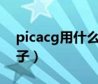 picacg用什么加速器（解決嗶咔嗶咔玩壞梯子）