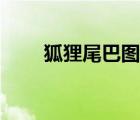 狐貍尾巴圖片（狐貍尾巴的歇后語）