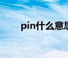 pin什么意思的縮寫（pin什么意思）