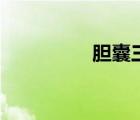 膽囊三角區(qū)（膽囊三角）