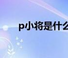 p小將是什么意思（批小將什么意思）