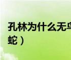 孔林為什么無(wú)鳥(niǎo)無(wú)蛇無(wú)人（孔林為什么無(wú)鳥(niǎo)無(wú)蛇）