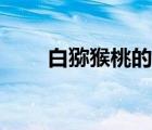 白獼猴桃的作用與效果（白獼猴桃）