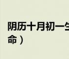 陰歷十月初一生人命運（十月初一出生的鳳凰命）