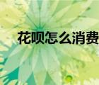 花唄怎么消費(fèi)（支付寶怎么用花唄付款）