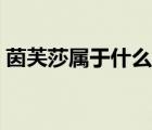 茵芙莎屬于什么檔次（茵芙莎適合什么年齡）