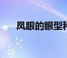 鳳眼的眼型種類（丹鳳眼是什么樣的）