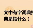 文中有字詞典指的是無(wú)字詞典指的是（無(wú)字詞典是指什么）