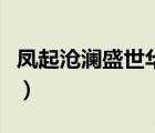 鳳起滄瀾盛世華章筆趣閣（鳳起滄瀾盛世華章）