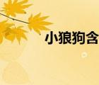 小狼狗含義（小狼狗什么意思）