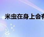 米蟲在身上會有害嗎（米蟲對人有危害嗎）