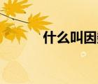 什么叫因數(shù)（24的因數(shù)有哪些）