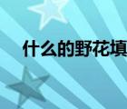 什么的野花填空最好（什么的野花填空）