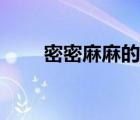 密密麻麻的近義詞（光明的反義詞）