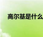 高爾基是什么學(xué)家（高爾基全名是什么）