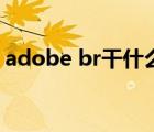adobe br干什么的（adobe br是什么軟件）