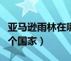 亞馬遜雨林在哪個國家最多（亞馬遜雨林在哪個國家）