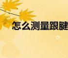 怎么測量跟腱的長度（跟腱怎么測量圖）