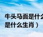 牛頭馬面是什么生肖開過什么數(shù)字（牛頭馬面是什么生肖）