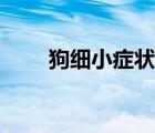 狗細(xì)小癥狀初期癥狀（狗細(xì)小癥狀）