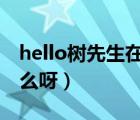 hello樹先生在線觀看（hello 樹先生 講的什么呀）