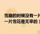 雪崩的時(shí)候沒有一片雪花是無辜的廢話梗（雪崩的時(shí)候沒有一片雪花是無辜的）