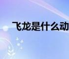 飛龍是什么動(dòng)物圖片（飛龍是什么動(dòng)物）