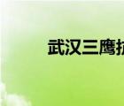 武漢三鷹抗體怎么樣（武漢三鷹）